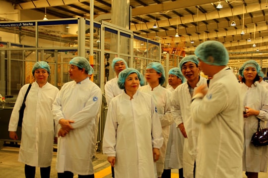 Tham tán thương mại, công sứ Việt Nam tại các nước thăm nhà máy sữa Vinamilk