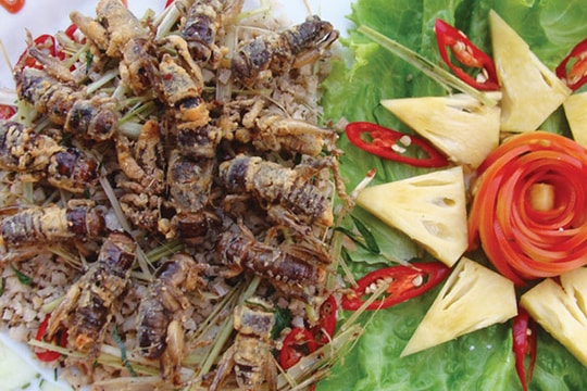 Món lạ miệt giồng