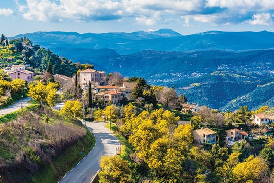 Rực rỡ lễ hội Mimosa ở Mandelieu