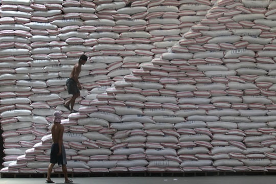 Malaysia sẽ tăng nhập khẩu gạo khi thời tiết xấu