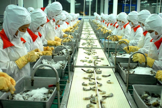 New Zealand: TPP sẽ nâng cao các chuẩn mực và điều kiện lao động