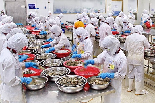 Nhập khẩu nguyên liệu - nguy cơ mất thương hiệu con tôm Việt Nam