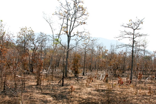 Nam Trung bộ, Tây Nguyên: Khô khát