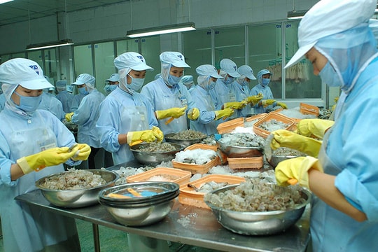 Tổng cục Thống kê tiến hành điều tra doanh nghiệp năm 2016