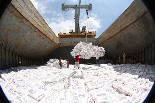 Xuất khẩu gạo 6 tháng đầu năm dự kiến tăng 12%