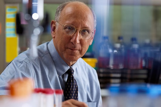 Liệu pháp miễn dịch - Cách điều trị ung thư từ bên trong