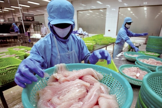 Hạ viện Nga phê chuẩn Hiệp định FTA Việt Nam - EAEU