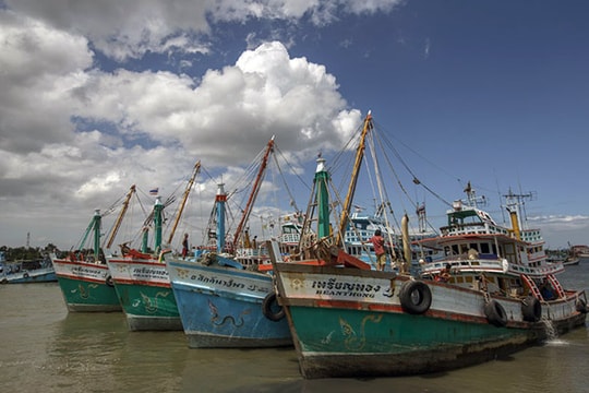 Indonesia làm gì để chống đánh bắt cá trái phép?
