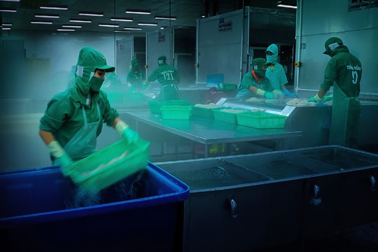 Thượng viện Nga phê chuẩn FTA Việt Nam - EAEU