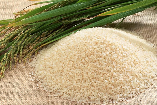 Cuộc khủng hoảng dư thừa gạo tại Hàn Quốc