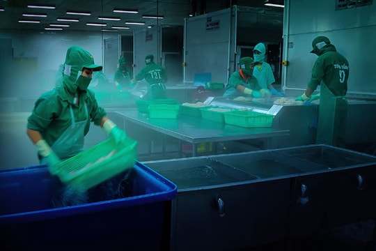 ASEAN và Liên minh Thái Bình Dương sẽ ký thỏa thuận hợp tác song phương