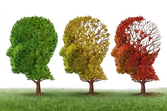 3 thói quen đẩy lùi nguy cơ mắc bệnh Alzheimer