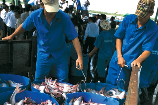 Vasep: Thủ tục vẫn gây khó doanh nghiệp