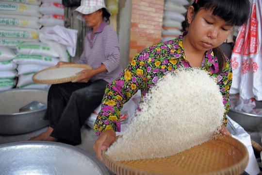 Nửa đầu 2016, Campuchia xuất khẩu hơn 260.000 tấn gạo