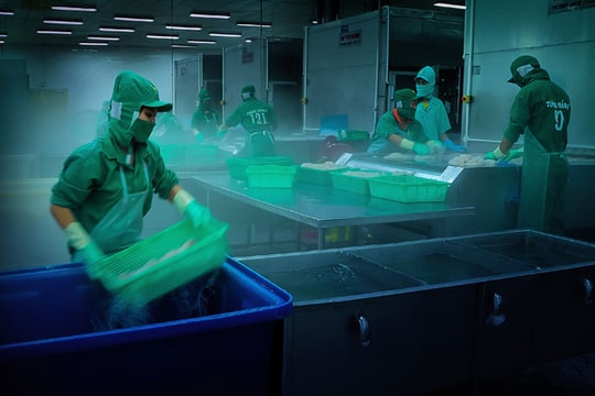 Điều kiện kinh doanh tạm nhập, tái xuất hàng thực phẩm đông lạnh