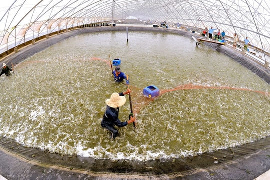 6 tháng, tổng kim ngạch xuất nhập khẩu đạt hơn 162 tỷ USD