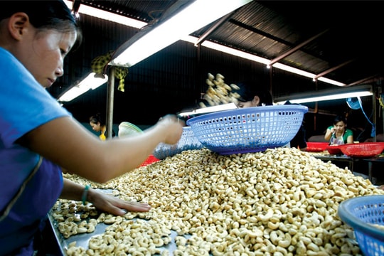 Tiếp cận vốn vay: Giải pháp nào cho doanh nghiệp nhỏ và vừa?