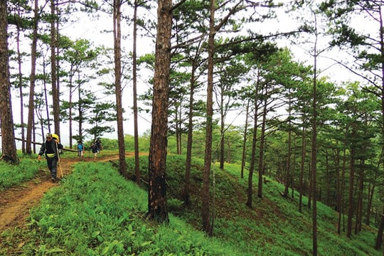 Vượt mọi giới hạn trên cung đường Tà Năng