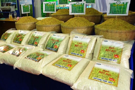 Xuất khẩu gạo sang EU: Lấy "chất" bù "lượng"