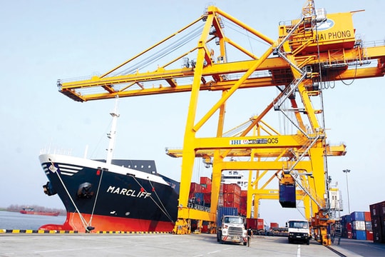 Vì sao Việt Nam nên tham gia ITF?