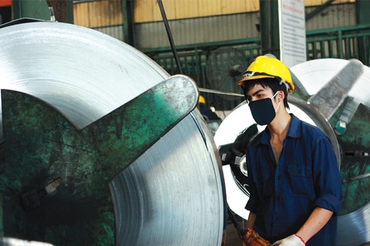 Cần lý trí hơn về dự án thép của Hoa Sen