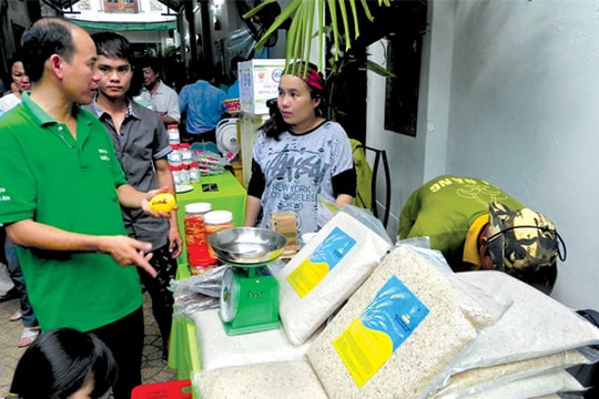 Dự án nông nghiệp chiếm áp đảo