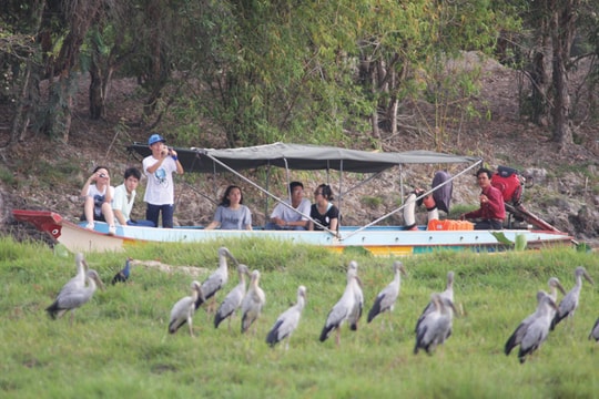 Tam Nông – Mùa nước nổi