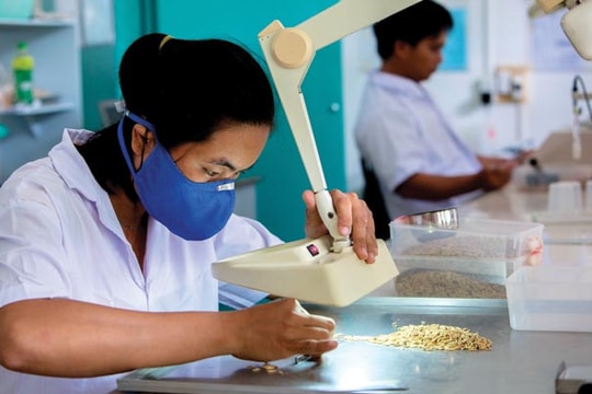 DN Việt trong chuỗi cung ứng sản phẩm công nghệ cao