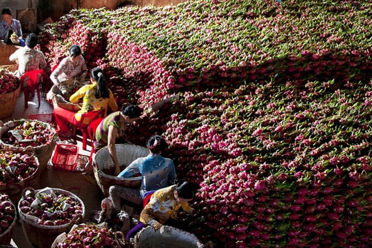 Ban hành Nghị định quy định miễn thuế nhập khẩu nhiều mặt hàng