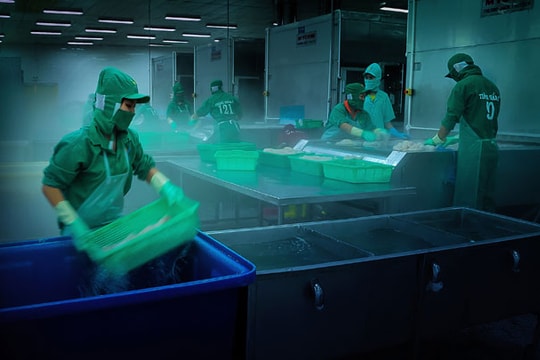 HUBA luôn cùng doanh nghiệp phát triển và hội nhập