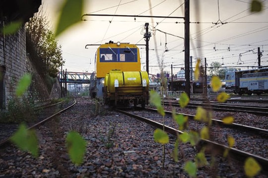 Pháp: Ngành đường sắt "đau đầu" vì... lá khô