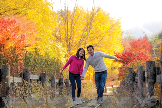 Quay phim ở nước ngoài: Đắt có xắt ra miếng?