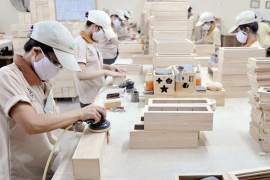 Doanh nghiệp gỗ và cơn khát nguyên liệu