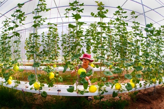 5 yếu tố thúc đẩy kinh tế Việt Nam năm 2017