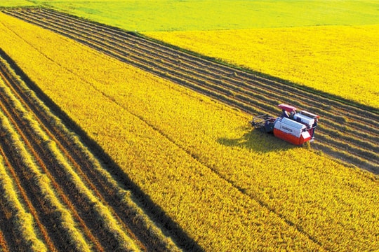 Mơ về một trung tâm phát triển nông nghiệp