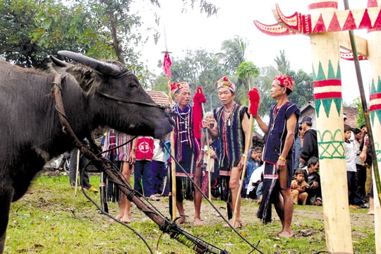 Làng Kol Sơ Lăl - huyền thoại Tây Nguyên