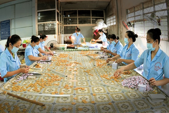 SME và chiến lược trong thời kỳ hội nhập