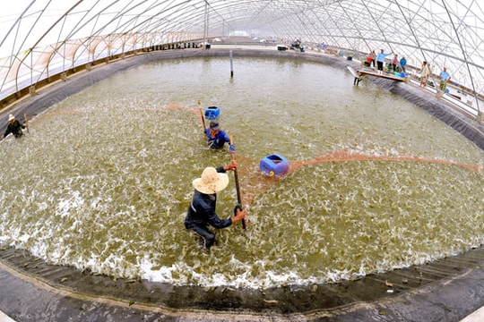 2 tháng, xuất khẩu thủy sản ước đạt 844 triệu USD