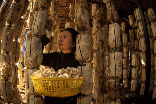 TP. Hồ Chí Minh: Đưa du lịch trở thành ngành kinh tế mũi nhọn