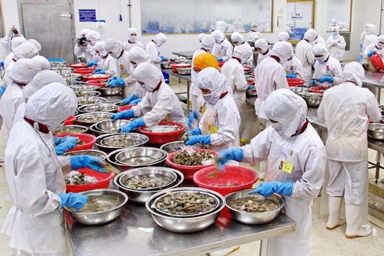 Kinh tế Việt Nam 2017: Nhiều cơ hội tăng trưởng