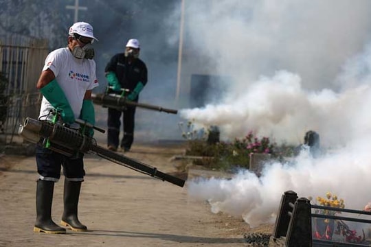 Mỹ Latinh và Caribe thiệt hại 18 tỷ USD vì virus Zika