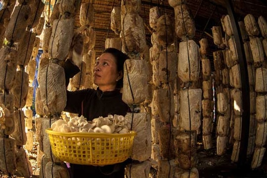 3 tháng, cả nước nhập siêu 1,94 tỷ USD