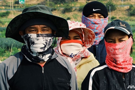 Lao động nhập cư ở Hàn Quốc: Ở tù rất... sướng?