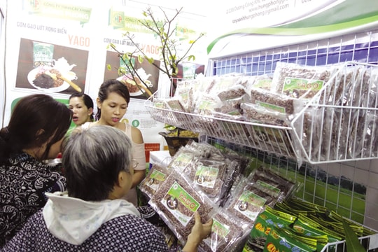 Những rủi ro khi đa dạng hóa ngành hàng