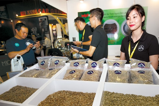 Kinh doanh cà phê: Bước chuyển từ thô sang tinh