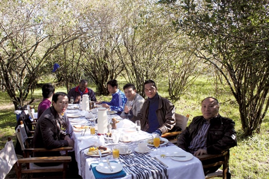 Bữa sáng với sâm banh trong rừng châu Phi