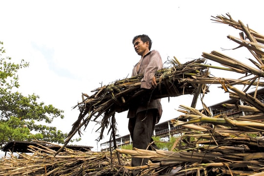 Đường tồn kho do nhập lậu?
