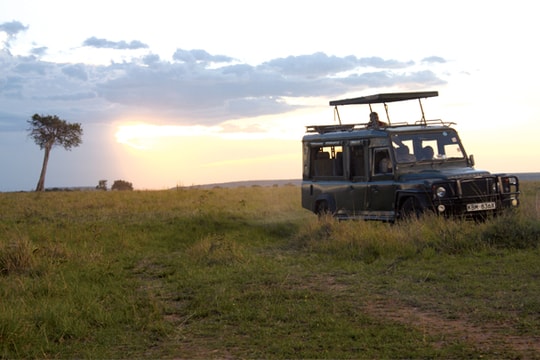 Cocktail lúc hoàng hôn trong rừng Kenya