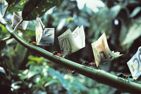 Hạn chế rủi ro cho chiến lược kinh doanh tiền tệ Carry Trade