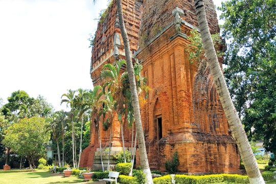 Thăm "người đẹp nghìn tuổi"